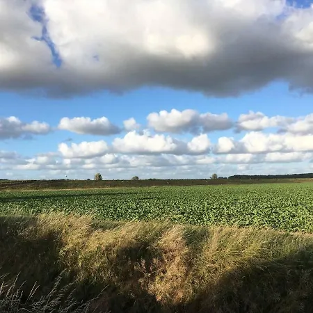 Cosy & Natural *fireplace*garden*2 Bikes Heinenoord